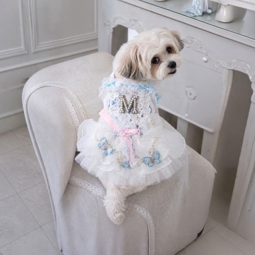 White Lace Dog Dress with Pearl Initial M and Blue Butterfly Accents, Tulle Party Gown for Small Dogs, Special Occasion Pet Gift