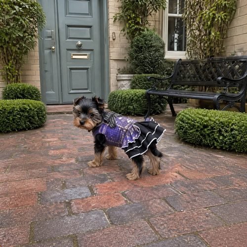 Plaid Tartan Pet Dress with Bow and Pearl Buttons, Dog Cat Halter Dress, Tiered Ruffle Skirt, Party Costume Gift