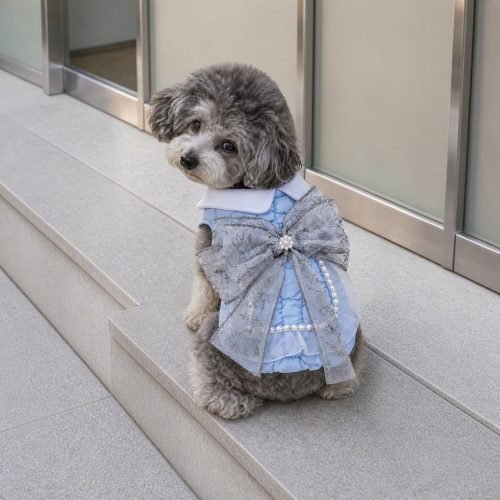 Quilted Dog Dress with Snowflake Bow, Powder Blue Pet Coat with Pearl Trim, Winter Holiday Dog Outfit, Cute Gift for Dog Moms
