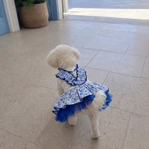 Blue Floral Dog Dress with Ruffle Collar and Pearl Necklace, Chinoiserie Print Pet Dress, Tulle Skirt Puppy Formal Wear, Dog