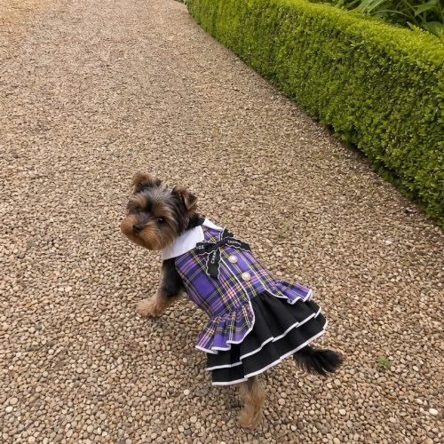Plaid Tartan Pet Dress with Bow and Pearl Buttons, Dog Cat Halter Dress, Tiered Ruffle Skirt, Party Costume Gift