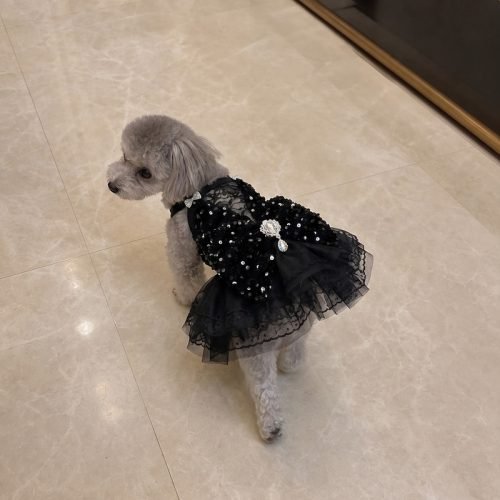 Black Sequin Dog Dress, Formal Pet Gown with Lace Bodice and Crystal Brooch, Dog Birthday Party Outfit, Gift for Dog Mom