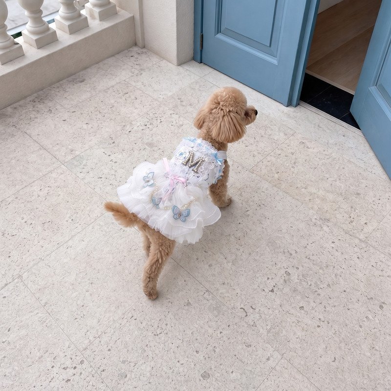 White Lace Dog Dress with Pearl Initial M and Blue Butterfly Accents, Tulle Party Gown for Small Dogs, Special Occasion Pet Gift