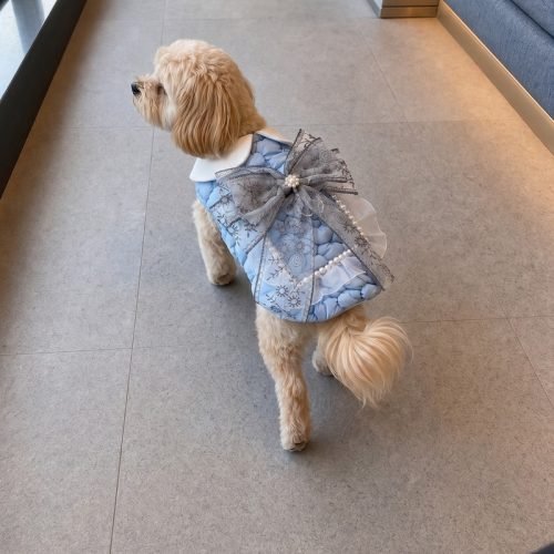 Quilted Dog Dress with Snowflake Bow, Powder Blue Pet Coat with Pearl Trim, Winter Holiday Dog Outfit, Cute Gift for Dog Moms