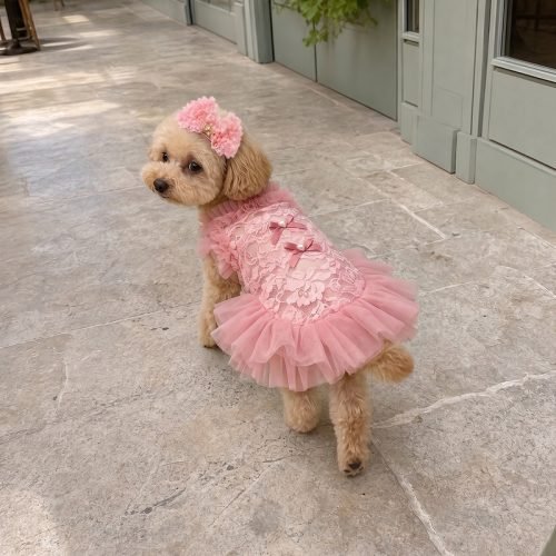 Pink Lace Dog Dress with Tulle Tutu Skirt, Princess Pet Costume with Matching Crown Headband, Birthday Dog Outfit Gift