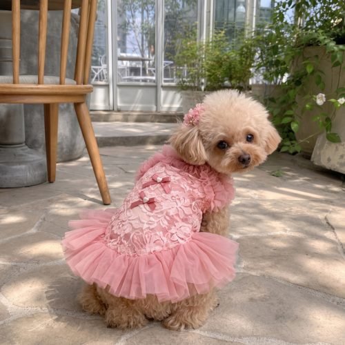 Pink Lace Dog Dress with Tulle Tutu Skirt, Princess Pet Costume with Matching Crown Headband, Birthday Dog Outfit Gift