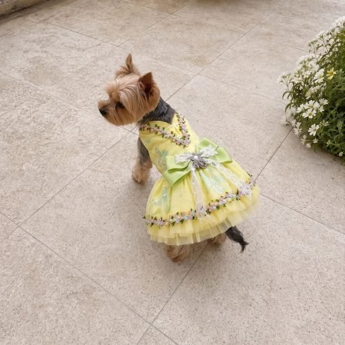 Yellow Dog Dress with Floral Lace Trim, Pastel Flower Embroidery, Sage Green Bow, Pet Party Dress, Dog Birthday Outfit, Gift for Dog