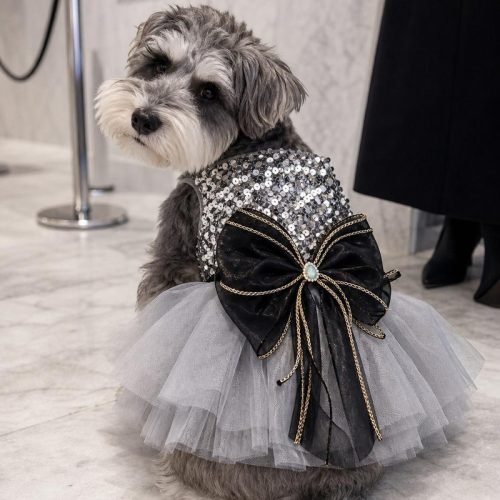 Silver Sequin Dog Dress with Black Bow, Tulle Tutu Pet Party Dress, Sparkly Dog Birthday Outfit, Gift for Dog Mom