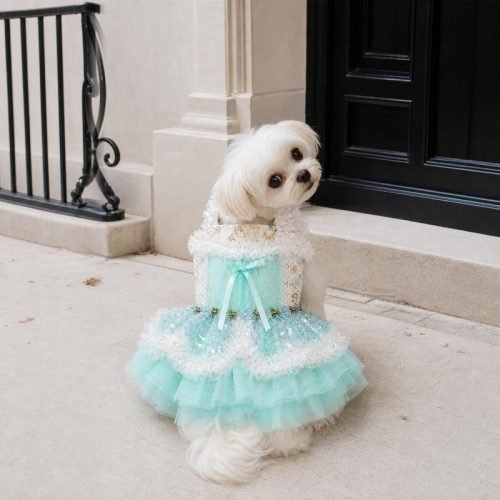 Mint Sequin Tutu Dog Dress, Pearl Lace Pet Gown, Sparkly Tulle Dog Outfit for Birthday Photos, Fancy Puppy Dress Gift