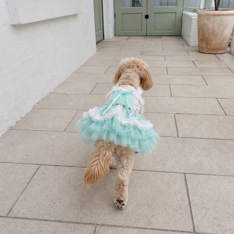 Mint Sequin Tutu Dog Dress, Pearl Lace Pet Gown, Sparkly Tulle Dog Outfit for Birthday Photos, Fancy Puppy Dress Gift